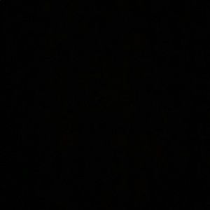 Meet your Posher, Chanel